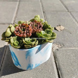 Double-layer Flowerpot Silicone Resin Mold for Succulent Plant Pot