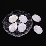 Natural Mother of Pearl Shell Pendant for Jewelry Making