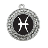 Pisces Zodiac Circle Charm Necklace