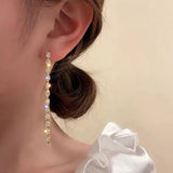 925 Silver Zircon Tassel Drop Earrings for Women