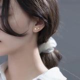 925 Silver Asymmetric Round Zircon Stud Earrings
