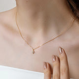 925 Silver Zircon Choker Necklace Hiphop Fine Jewelry