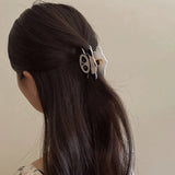 Panda Hair Claws Acetic Acid Shark Clip Jewelry
