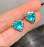 Paraiba Love 925 Colorful Treasure Earrings