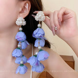 French Vintage Tassel Earrings Long Style Jewelry
