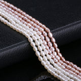 Natural Freshwater Pearl Beads 4-5mm Rice Shape DIY Jewelry Making 100% Natural