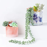 Epoxy Resin Mold for Pen Holder Succulent Plant Pot DIY Crafts