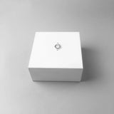 Classic Pendant Charm Carrier, 2018 Europe Style Jewelry Gift