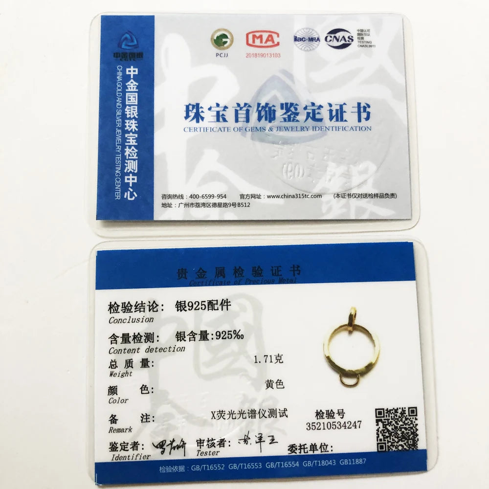 Charm Carrier Large Color Pendant - 2019 Jewelry Europe Gift