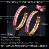 High-Quality Red Purple CZ Hoop Earrings for Women