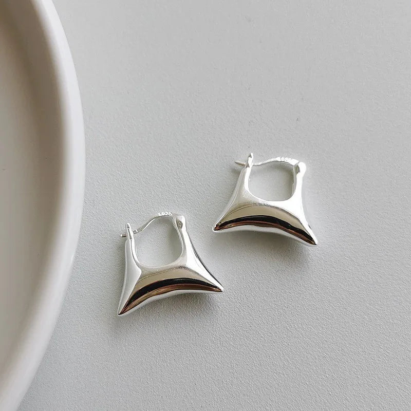 Irregular National Style S925 Silver Earrings Female