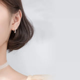 Water Drop Silver Rose Earrings 925 Sterling Silver Small Earring For Women Girl