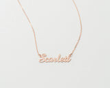 Personalized Private ID Name Necklace Stainless Steel Jewelry