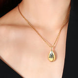 Pet Ash Necklace with Photo Stainless Steel Pendant Urn Cremation Jewelry