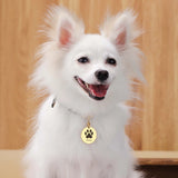 Custom Pet Collar with Name - Adjustable for Small to Medium Pets