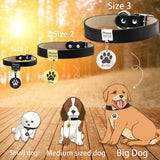Custom Pet Collar with Name - Adjustable for Small to Medium Pets