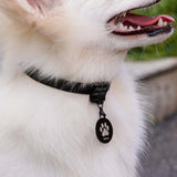 Custom Pet Collar with Name - Adjustable for Small to Medium Pets