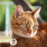 Customizable Pet Nameplate ID Card for Dogs, Gender Anti-lost Pendant