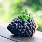 Pine Cone Epoxy Molds Candle Holder Silicone Mould Jewelry Storage Box Mold