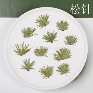 Pine Needle Plant Specimen Frame Resin Epoxy Aromatherapy DIY Craft Pack