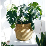 Woven Seagrass Belly Baskets With Liner