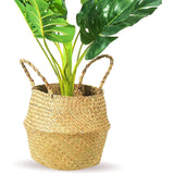 Woven Seagrass Belly Baskets With Liner