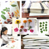 Wooden Flower Press Kit DIY Plant Specimen Tool