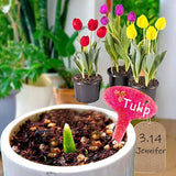 Plants Tag Resin Mold Garden Tag Silicone Mold Epoxy Kindergarten Flower Tag