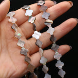 Freshwater Shell Bead Loose Spacer Beads 6-12mm