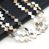 Freshwater Shell Bead Loose Spacer Beads 6-12mm