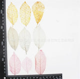 Pressed Flower Bookmark DIY Kit