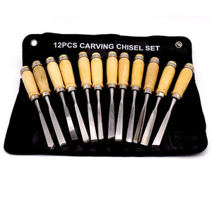 12PCS Wood Carving Chisel Set Jewelry Woodworking Hand Tools