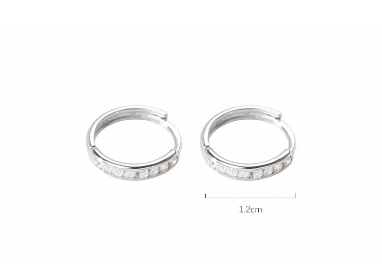 Punk 925 Silver Zircon Earrings For Women