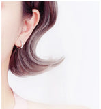 Punk 925 Silver Zircon Earrings For Women
