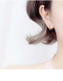 Punk 925 Silver Zircon Earrings For Women