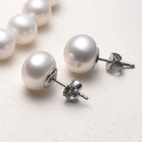 Titanium Small Pearl Ear Studs Girls Earrings Accessory