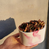 Resin Succulents Flower Pot Silicone Mold for DIY Garden Concrete Flower Pot