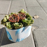 Resin Succulents Flower Pot Silicone Mold for DIY Garden Concrete Flower Pot