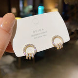 Double Circle Zircon 925 Silver Stud Earrings