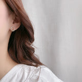 Double Circle Zircon 925 Silver Stud Earrings