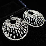 Silver Dangle Earrings Water Drop Zircon Stone Jewelry Gift
