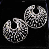 Silver Dangle Earrings Water Drop Zircon Stone Jewelry Gift