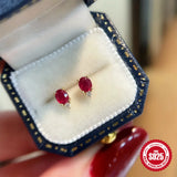 925 Silver Zircon Earrings Women Wedding Party Anniversary Gift