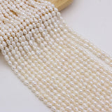 Freshwater Pearl Rice Beads Round Loose Pearls for DIY Charm Bracelet Necklace