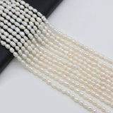 Freshwater Pearl Rice Beads Round Loose Pearls for DIY Charm Bracelet Necklace