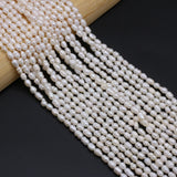 Freshwater Pearl Rice Beads Round Loose Pearls for DIY Charm Bracelet Necklace