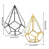 Hanging Glass Terrarium Wall Art Air Plant Holder