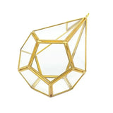 Hanging Glass Terrarium Wall Art Air Plant Holder