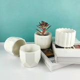 Concrete Mold Succulent Planter Pot & Pen Holder Craft