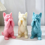 Resin Casting Mold for DIY Home Decoration